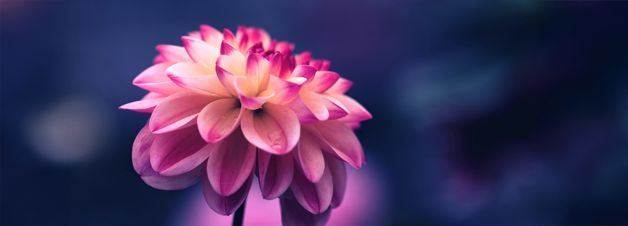 ariart Fotografie Fotokurse